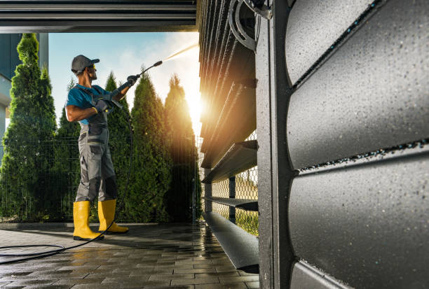 Best Building Exterior Washing  in Pecatonica, IL